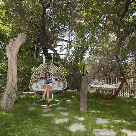 Bed & Breakfast Dream